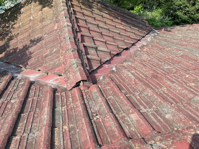 カビが大量に発生している笠間市のセメント瓦屋根