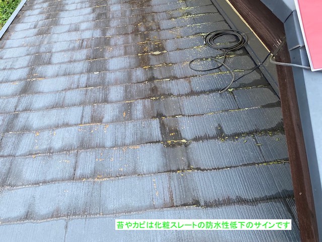 苔やカビはスレート屋根の防水低下のサイン