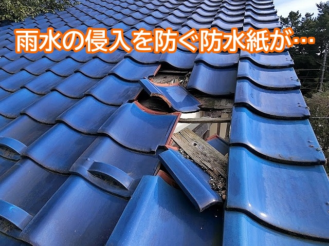 瓦がズレた箇所の防水紙はほとんど残っていない状態