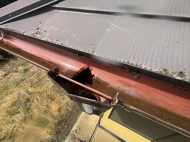 雑草や内部に詰まった土が取り除かれ排水がスムーズになった集水器