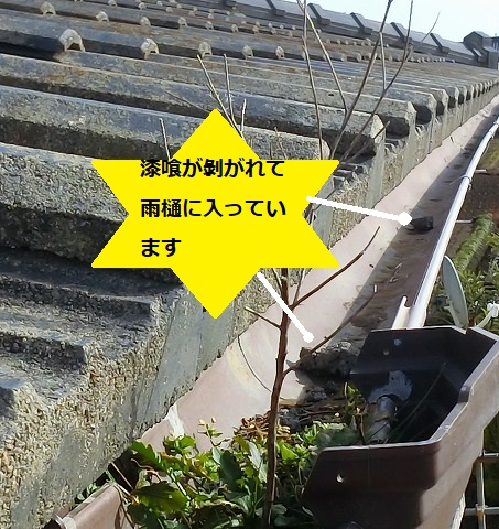 漆喰が剥がれ雨樋に詰まっている