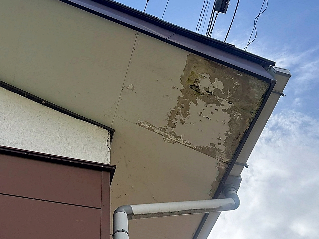 屋根からの雨漏りが原因で破損した軒天