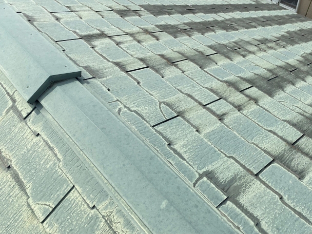 北側のコロニアルスレートの様子