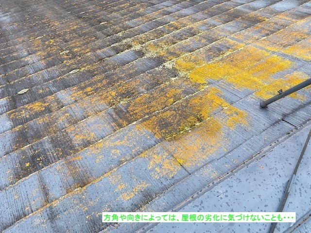 屋根の不具合を確認するには触診が必要