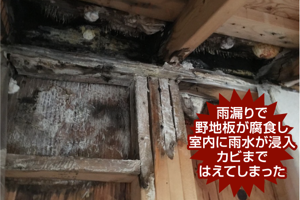 野地板の腐食