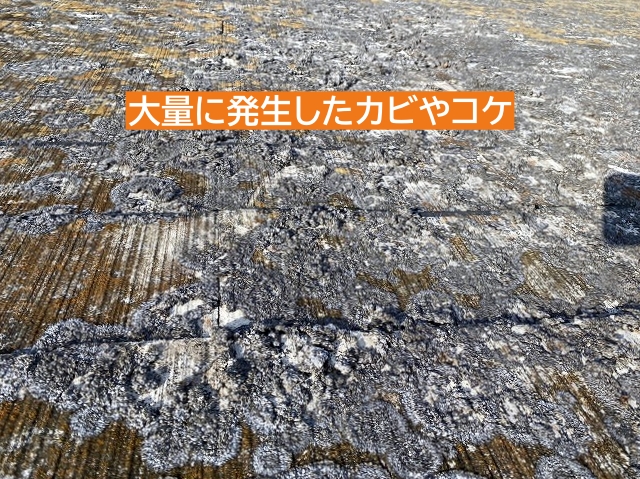 カビとコケが繁殖したコロニアル屋根