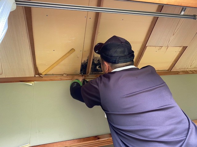 雨染みが濃い天井材を剥がし内部を確認