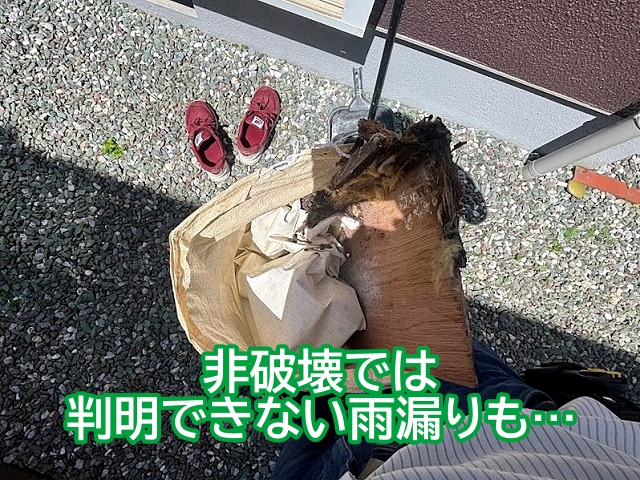 非破壊調査では原因が判明できない雨漏りも多い