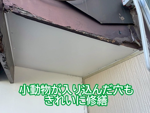 軒天材を部分的に張り替え小動物が入り込んだ穴をきれいに修繕