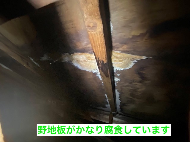 雨漏りの原因箇所は野地板が腐食