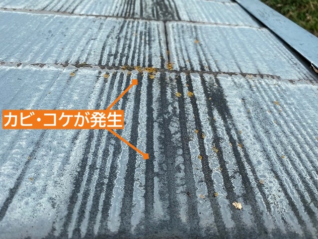 コロニアル屋根に発生したカビやコケ