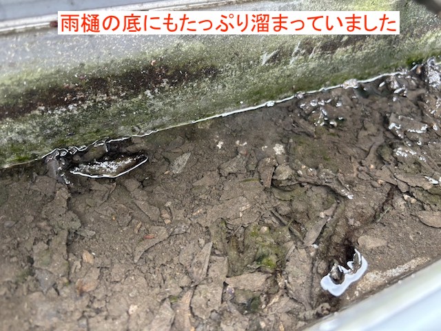 泥がたっぷり溜まった雨樋