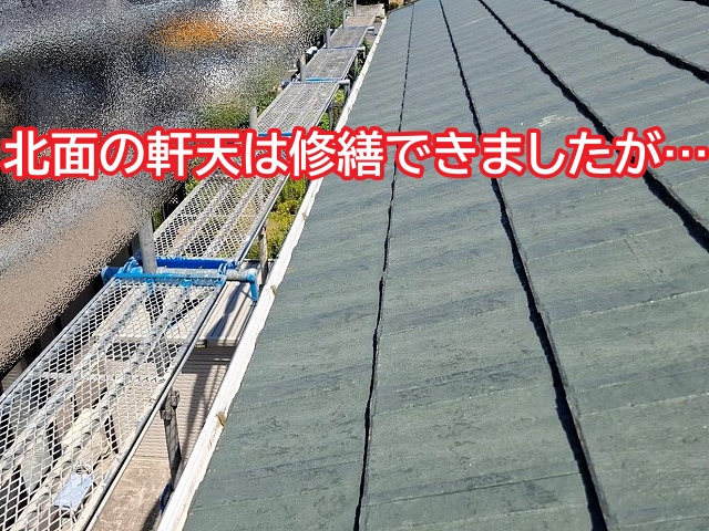 今回修繕を行ったのは北面の軒天のみ