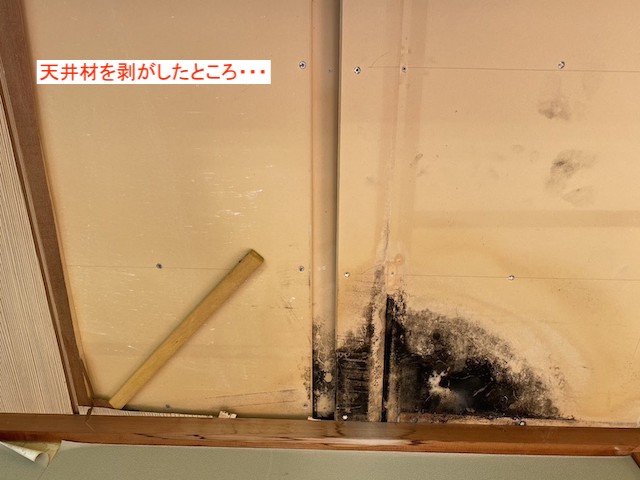 雨漏り中の天井材の裏側にカビが繁殖
