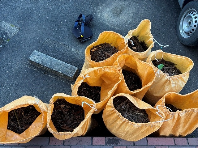 アパートの雨樋と屋根から収集した枯れ葉