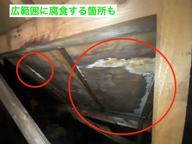 むくり屋根の野地板が広範囲に腐食