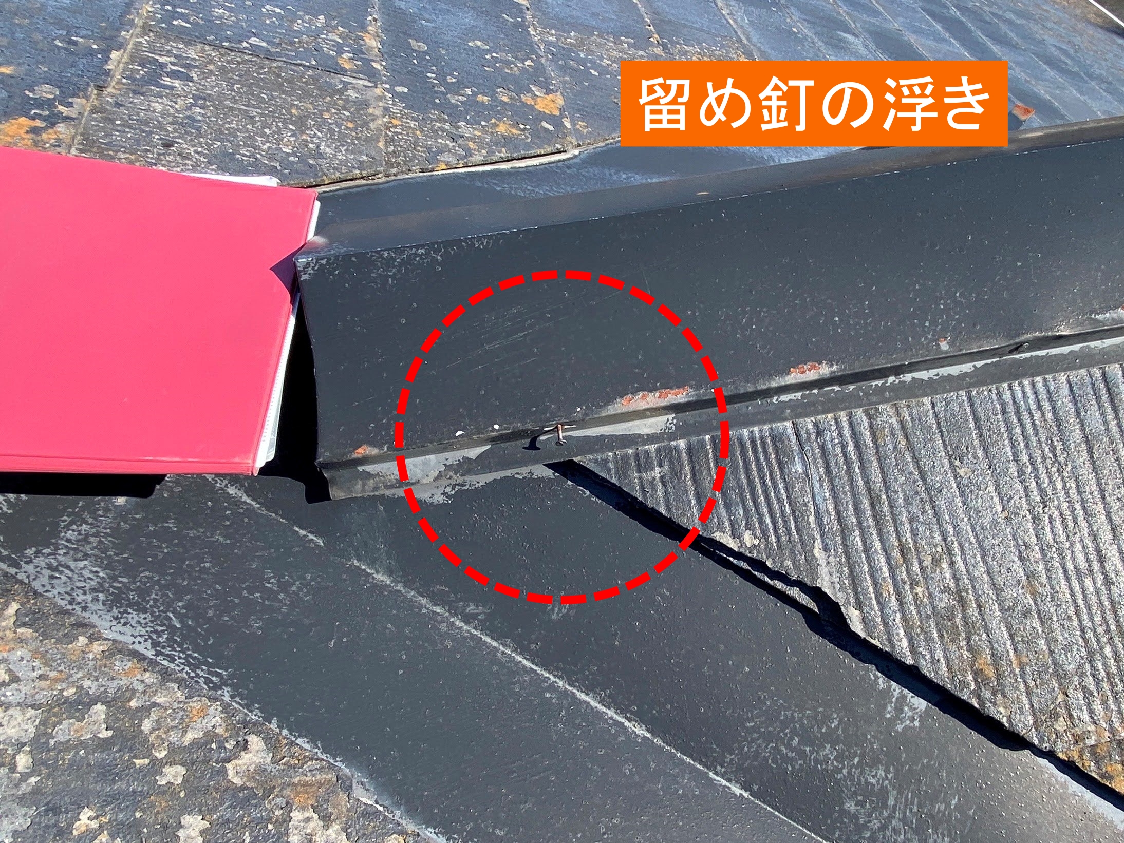 コロニアル屋根棟板金留め釘の浮き