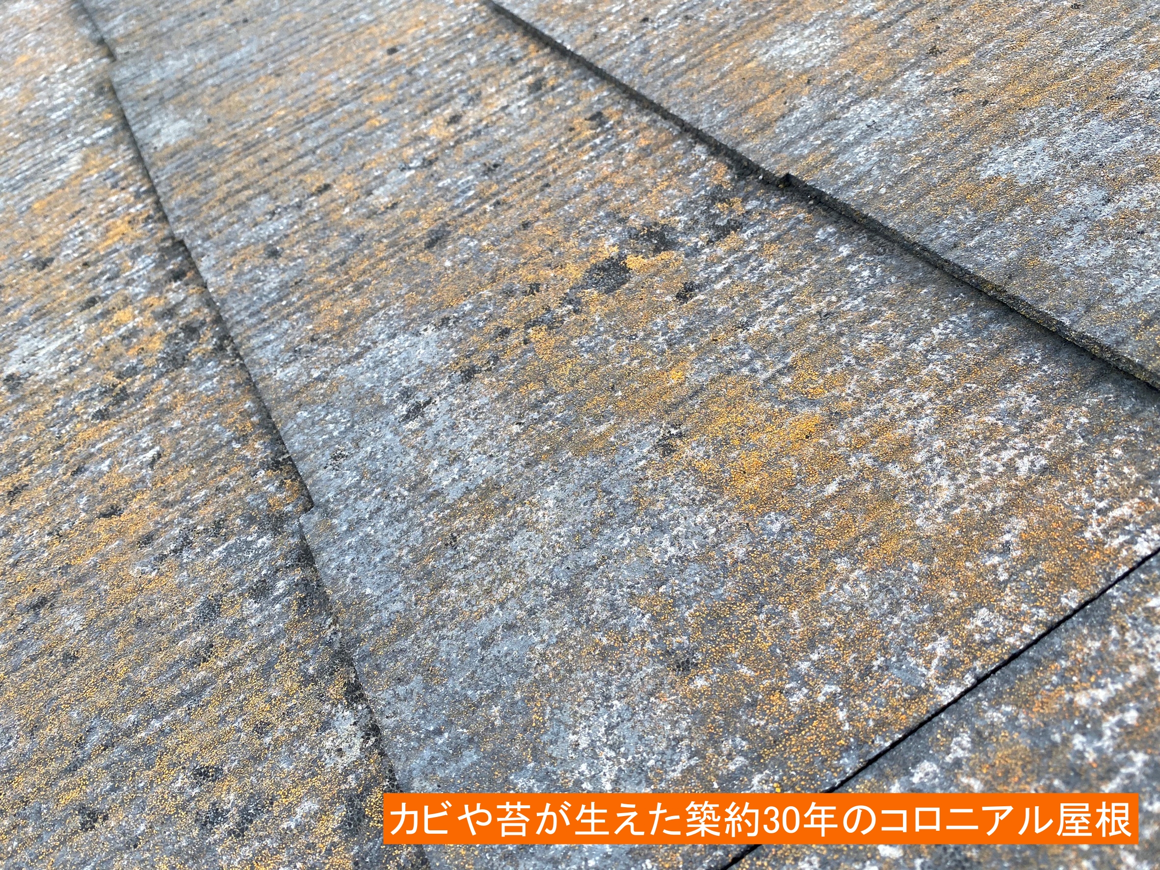 カビや苔が生えた築30年のコロニアル屋根