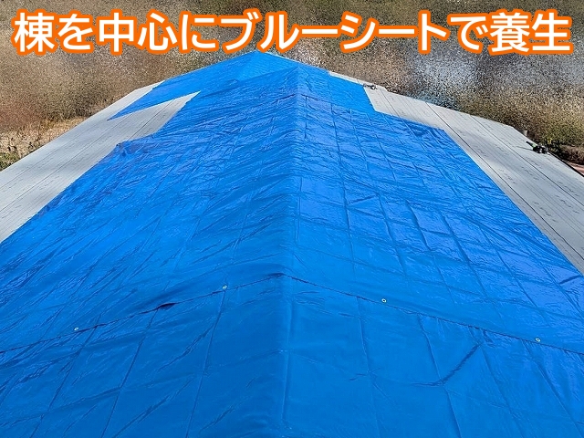 敷設が完了した防水紙はブルーシートでしっかり養生