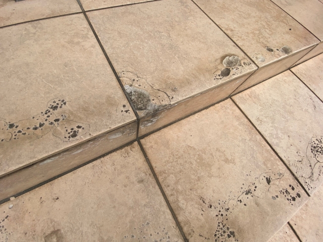 玄関タイルのかけあがり部分の欠け