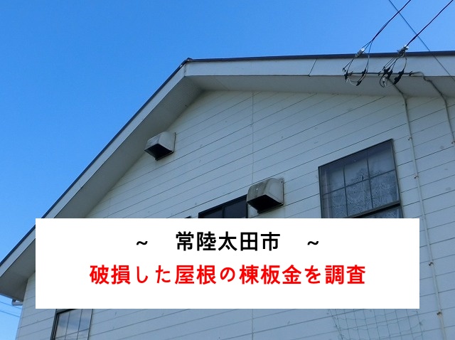 破損した棟板金を調査する常陸太田市の現場