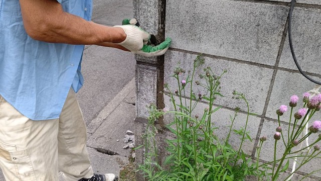 隙間を埋めるセメントはネコ車で運搬