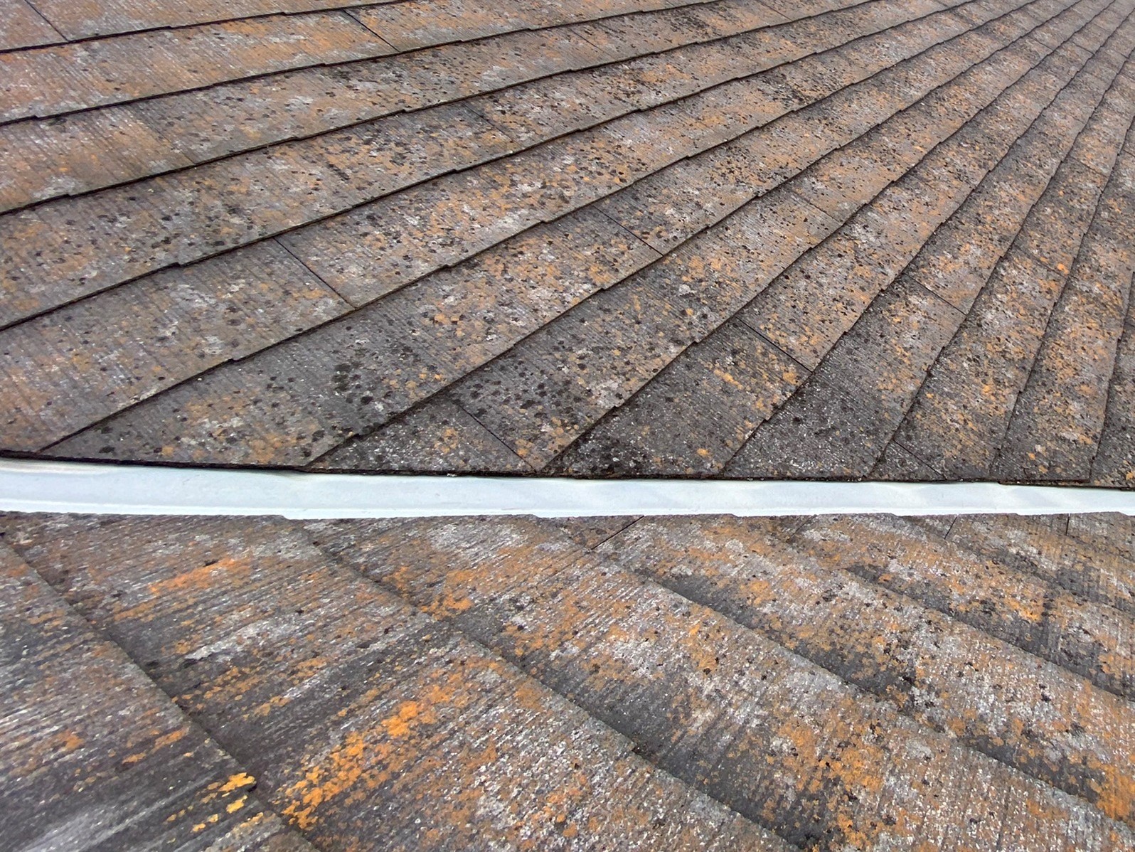 カビの屋根全景