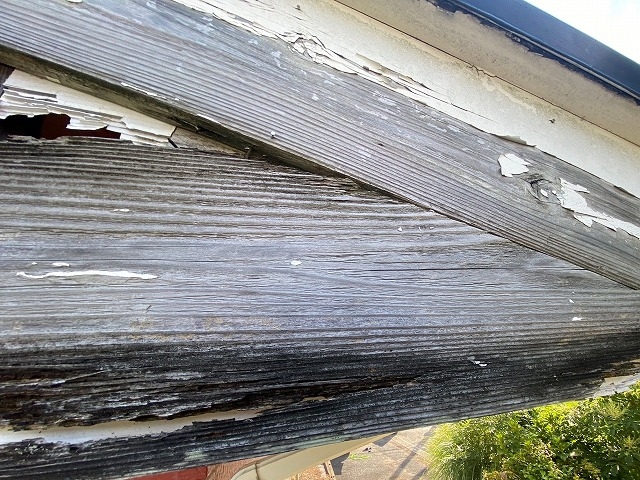 1階下屋根の穴が空いた軒天を調査