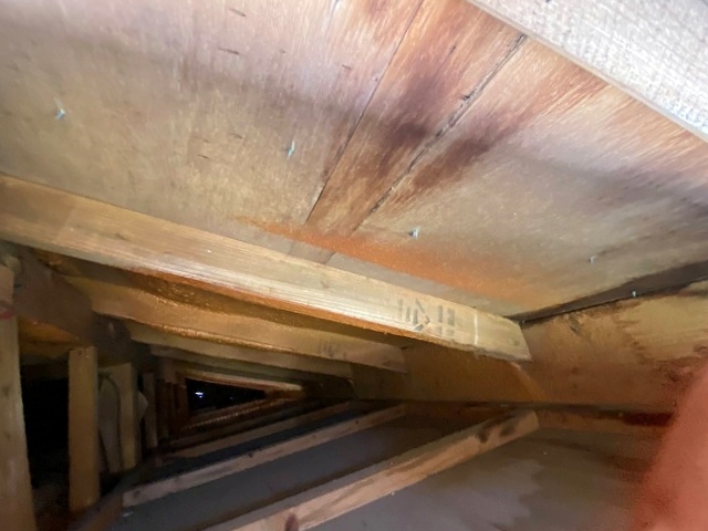 穴が空いた軒天の内部