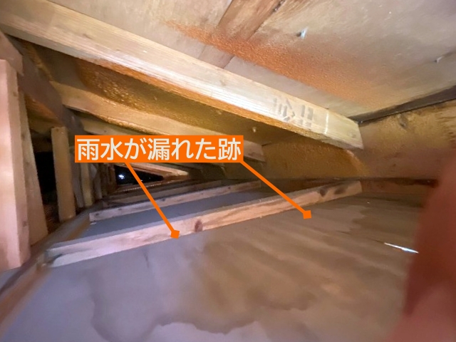 軒天内部は野地板から伝わった雨漏り跡が多数