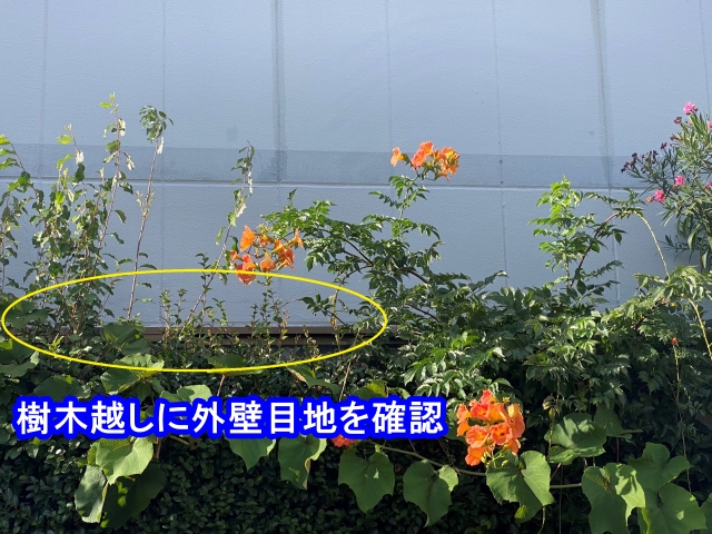 樹木越しに外壁目地を確認