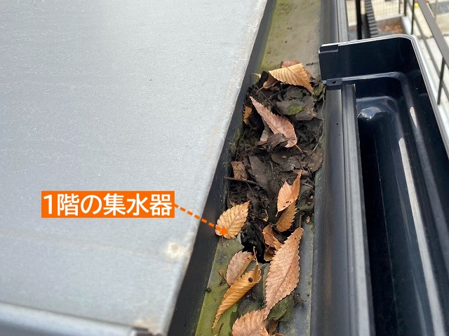 1階の集水器に溜まった落ち葉