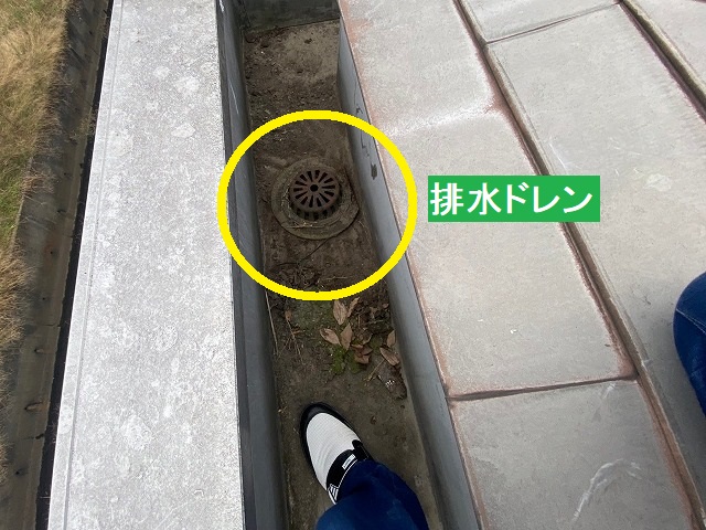 雨漏り起因の排水ドレン