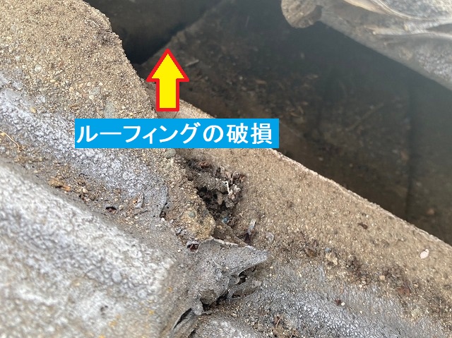 セメント瓦下のルーフィング破損