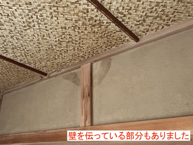 壁を伝っている雨染み