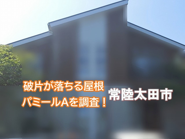 常陸太田市のパミールAの調査依頼