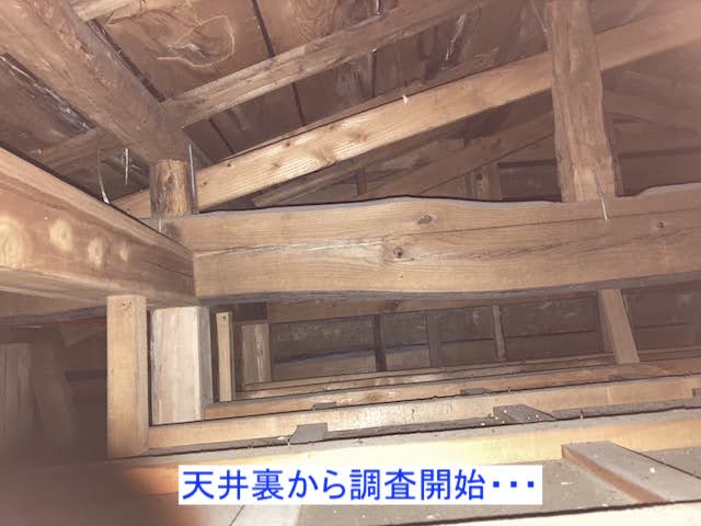 雨漏りは天井裏から調査を開始