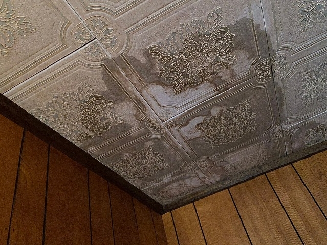 天井のクロスに広がった雨染み