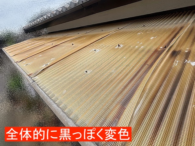 紫外線で焼けたように黒っぽく変色したガラスネット波板