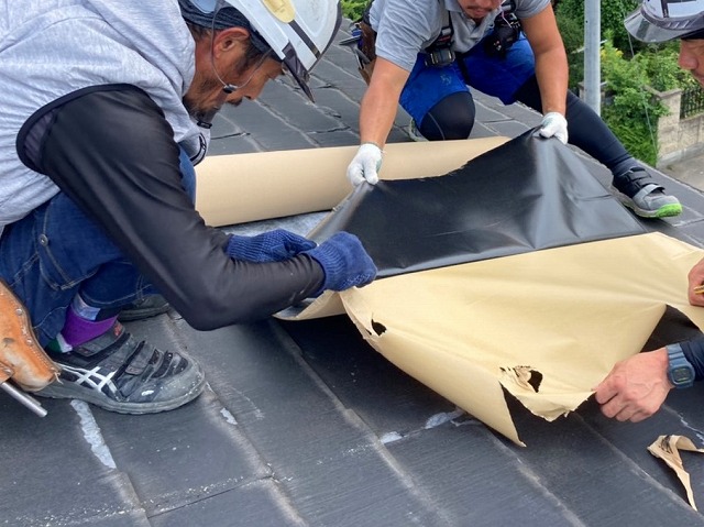 剝離シートを粘着式防水シートから剥がす