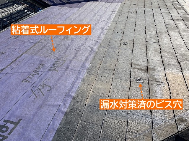 粘着式ルーフィングを敷設中