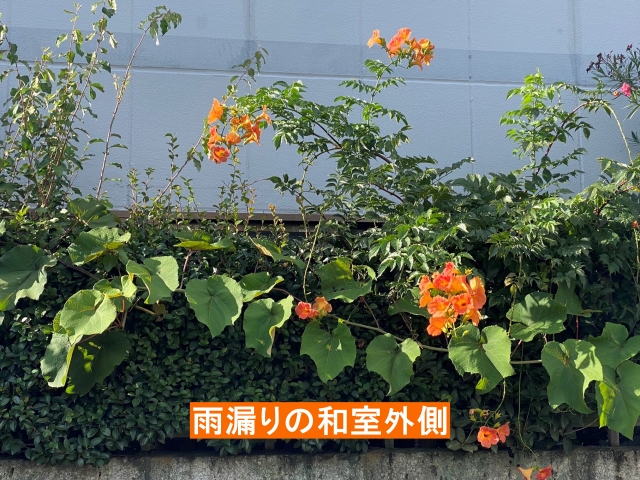 雨漏りの和室外側