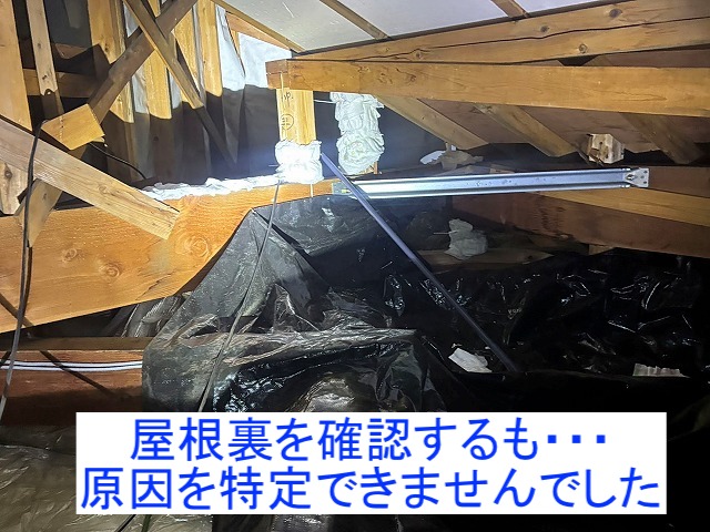 ひたちなか市の住宅屋根裏での雨漏り調査