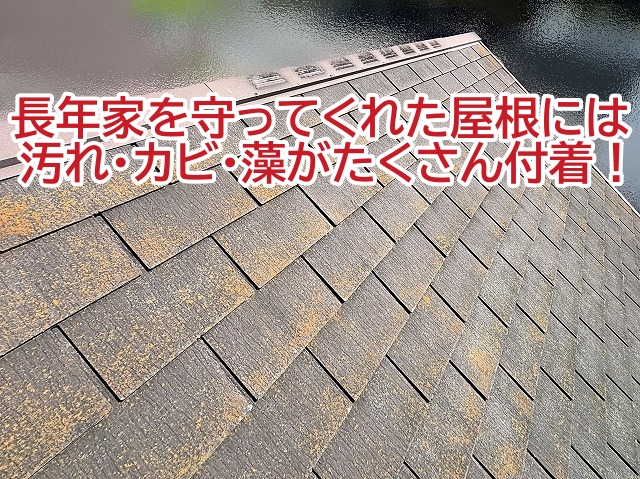 長年家を守ってくれた屋根には汚れ・カビ・藻などがたくさん付着
