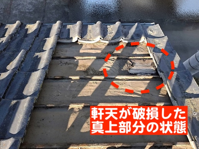 破損した軒天の真上の防水紙が破損