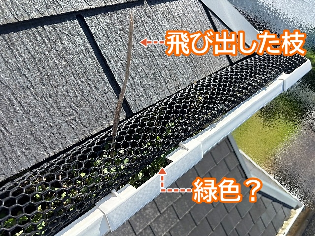 落ち葉除けネットから飛び出した枝