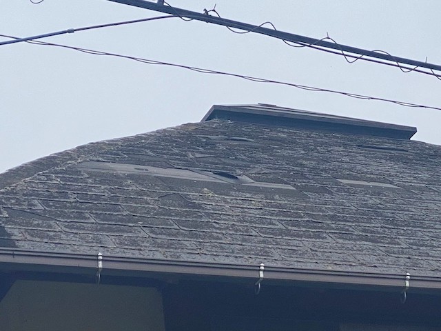 むくり屋根はアール型の形状