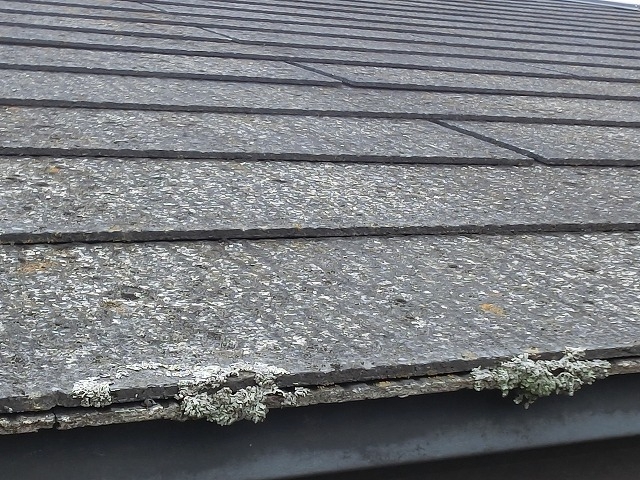 グリシェイドEHの軒先にカビが繁殖