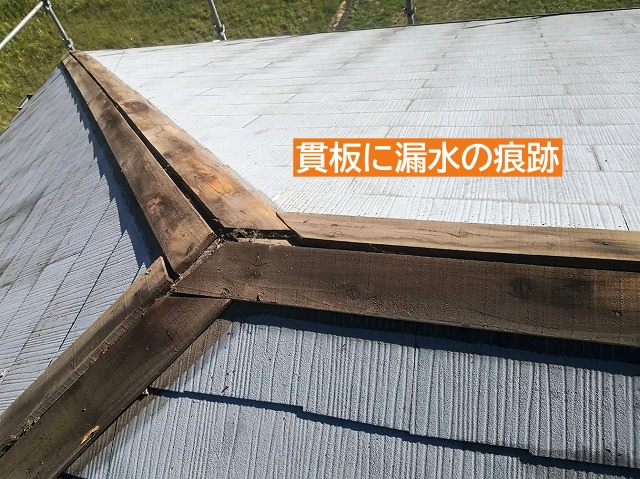 棟板金を撤去した後の貫板に漏水跡