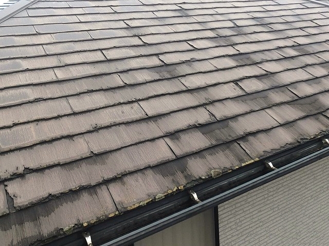 パミールA西面屋根